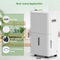 4500 Sq. Ft 50 Pint Dehumidifier for Basement, COLAZE Dehumidifiers with Drain Hose for Home Bedroom Bathroom Large Room, Auto Defrost & Full Water Alarm & 24H Timer with 1.59 Gallon Water Tank