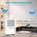 COLAZE 35 Pints 2000 Sq. Ft Dehumidifier with 6.56 ft Drain Hose, Three Colors Humidity Indicator, 24hr Timer Auto-off, Auto Defrost, Drying Clothes Dehumidifier Ideal for Home, Bathroom and Basement