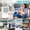 COLAZE 35 Pints 2000 Sq. Ft Dehumidifier with 6.56 ft Drain Hose, Three Colors Humidity Indicator, 24hr Timer Auto-off, Auto Defrost, Drying Clothes Dehumidifier Ideal for Home, Bathroom and Basement