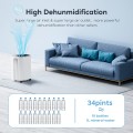 2500 Sq.ft Dehumidifier for Home and Basements, COLAZE 30Pints Dehumidifiers with Auto or Manual Drainage with Drain Hose, 0.66 Gallon Water Tank, Auto Deforest, Dry Clothes Function