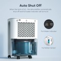 2500 Sq.ft Dehumidifier for Home and Basements, COLAZE 30Pints Dehumidifiers with Auto or Manual Drainage with Drain Hose, 0.66 Gallon Water Tank, Auto Deforest, Dry Clothes Function